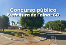 Concurso Faina GO: Dicas de Informática para Não Especialistas Concurso Faina GO